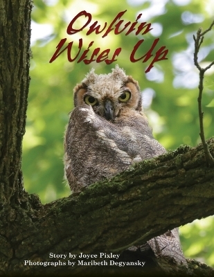 Owlvin Wises Up - Joyce Pixley