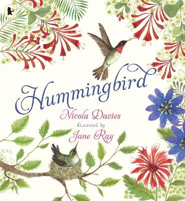 Hummingbird - Nicola Davies