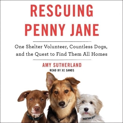 Rescuing Penny Jane - Amy Sutherland