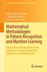 Mathematical Methodologies in Pattern Recognition and Machine Learning - 