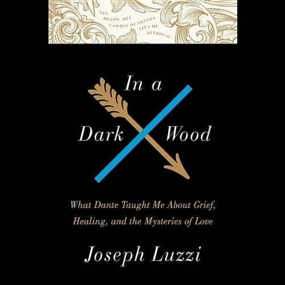 In a Dark Wood - Joseph Luzzi
