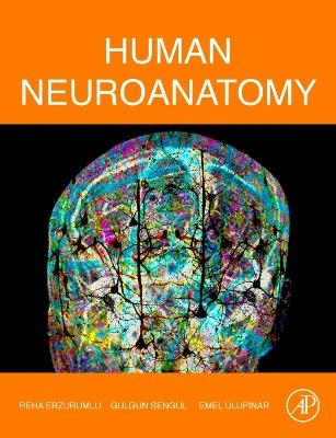 Human Neuroanatomy - Reha Erzurumlu, Gulgun Sengul, Emel Ulupinar