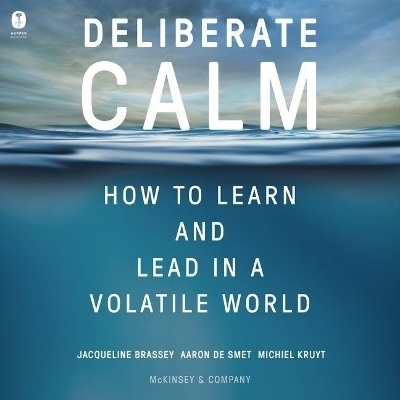 Deliberate Calm - Michiel Kruyt, Aaron de Smet, Jacqueline Brassey