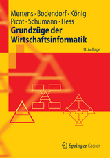 Grundzüge der Wirtschaftsinformatik - Peter Mertens, Freimut Bodendorf, Wolfgang König, Arnold Picot, Matthias Schumann, Thomas Hess