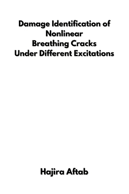 Damage Identification of Nonlinear Breathing Cracks Under Different Excitations - Hajira Aftab
