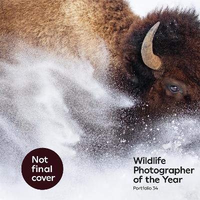 Wildlife Photographer of the Year: Portfolio 34 -  Natural History Museum