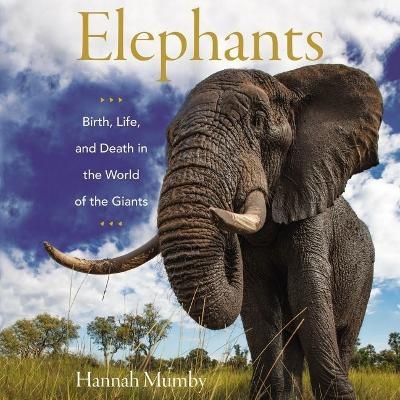 Elephants - Hannah Mumby