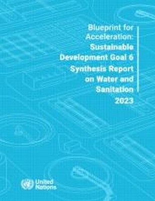 Blueprint for acceleration -  United Nations: Department of Economic of Social Affairs