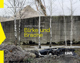 Birke und Brache - 