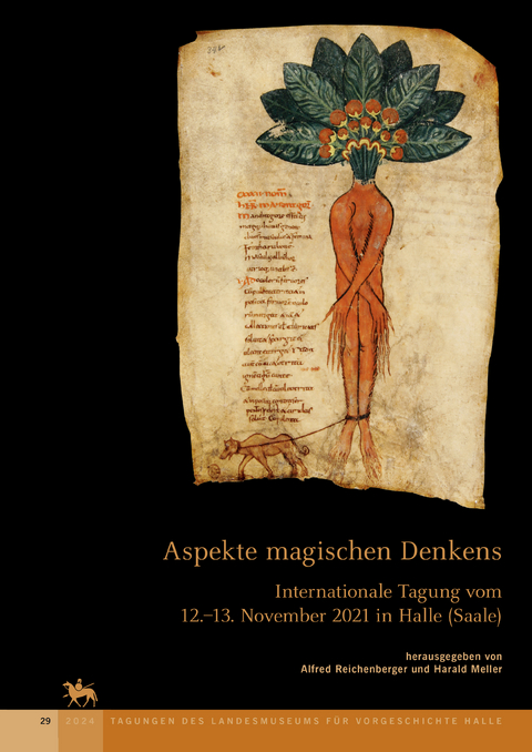 Aspekte magischen Denkens (Tagungen des Landesmuseums für Vorgeschichte Halle 29) - 