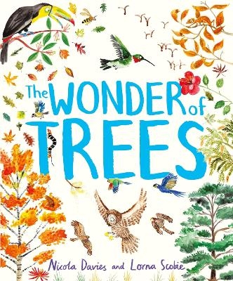 The Wonder of Trees - Nicola Davies