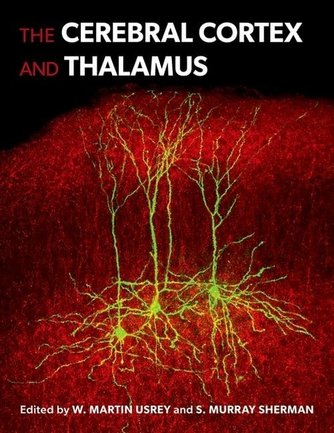 The Cerebral Cortex and Thalamus - 