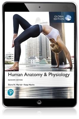 Human Anatomy & Physiology, Global Edition -- Mastering A&P with Pearson eText - Elaine Marieb, Katja Hoehn
