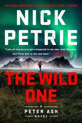 The Wild One - Nick Petrie