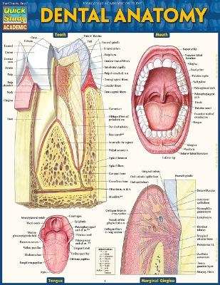 Dental Anatomy - Vincent Perez