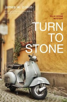 Turn to Stone - James W. Ziskin