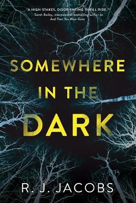 Somewhere in the Dark - R. J. Jacobs