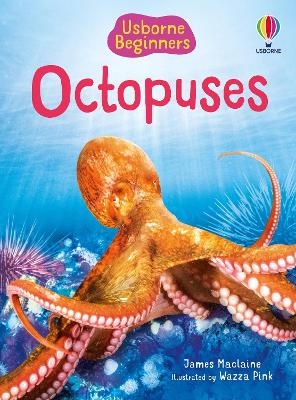 Beginners Octopuses - James Maclaine