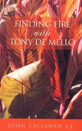 Finding Fire With Tony De Mello - John Callanan