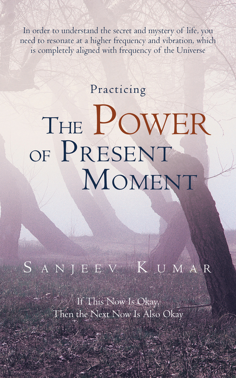 Practicing the Power of Present Moment -  Sanjeev Kumar