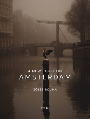 A New Light on Amsterdam - Gosse Bouma