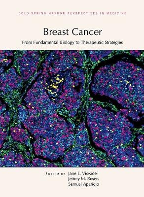Breast Cancer: From Fundamental Biology to Therapeutic Strategies - Jane E Visvader, Jeffrey M Rosen