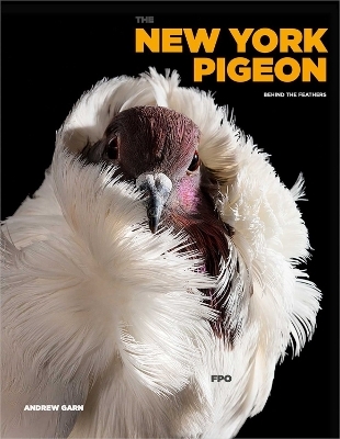 The New York Pigeon - Andrew Garn