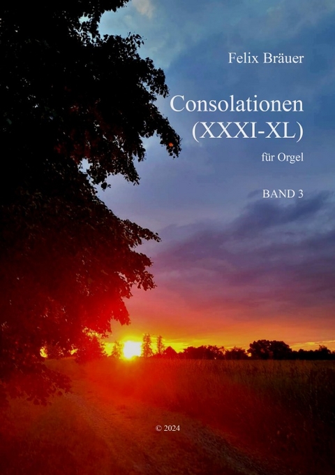 Felix Bräuer - Consolationen / Consolationen XXXI-XL - Felix Bräuer