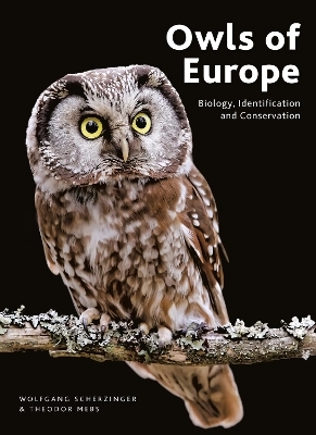 Owls of Europe - Wolfgang Scherzinger, Theodor Mebs