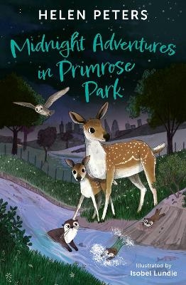 Midnight Adventures in Primrose Park - Helen Peters