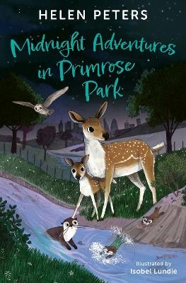 Midnight Adventures in Primrose Park - Helen Peters