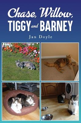 Chase, Willow, Tiggy and Barney - Jan Doyle