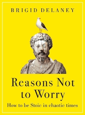 Reasons Not to Worry - Brigid Delaney