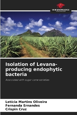 Isolation of Levana-producing endophytic bacteria - Letícia Martins Oliveira, Fernanda Ernandes, Crispin Cruz