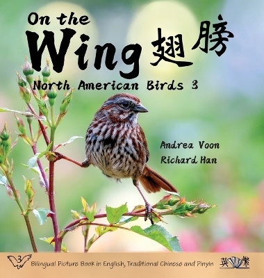 On the Wing 翅膀 - North American Birds 3 - Andrea Voon