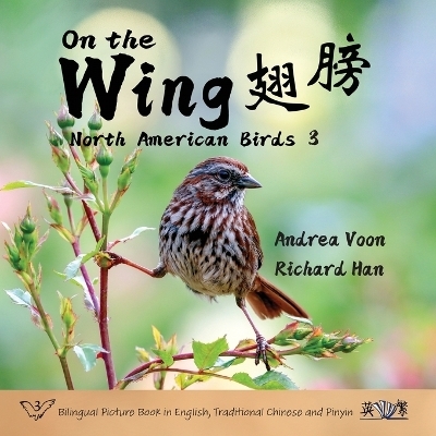 On the Wing 翅膀 - North American Birds 3 - Andrea Voon