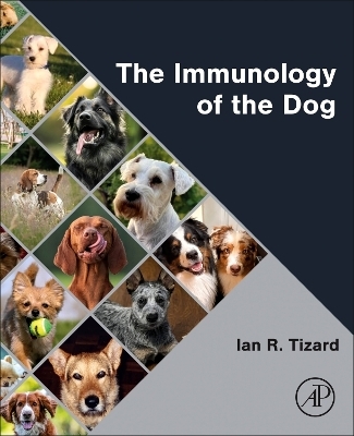 The Immunology of the Dog - Ian R Tizard