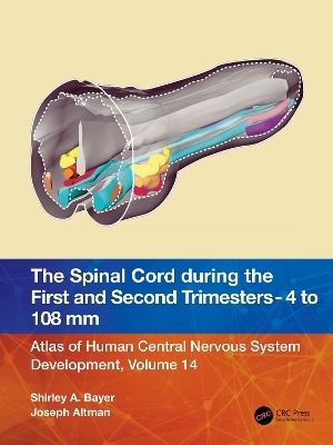 The Spinal Cord during the First and Early Second Trimesters 4- to 108-mm Crown-Rump Lengths - Shirley A. Bayer, Joseph Altman