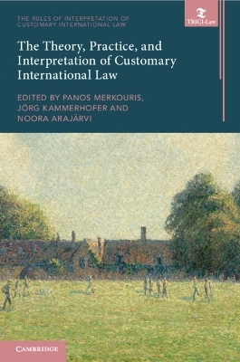 The Theory, Practice, and Interpretation of Customary International Law - 