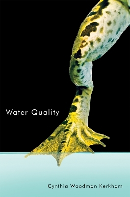 Water Quality - Cynthia Woodman Kerkham