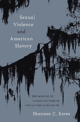 Sexual Violence and American Slavery - Shannon Eaves