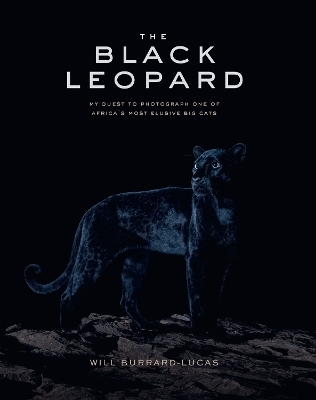 The Black Leopard - Will Burrard-Lucas