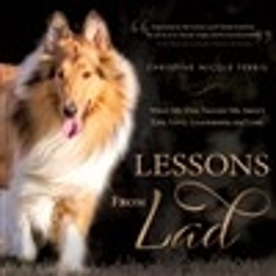 Lessons from Lad - Christine Nicole Ferris