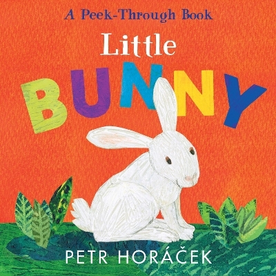 Little Bunny - Petr Horacek