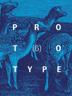 PROTOTYPE 6 - 