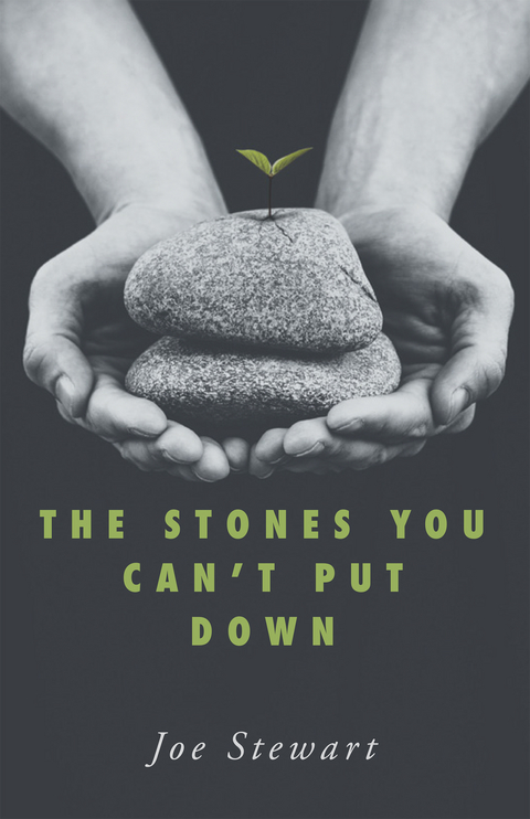 The Stones You Can't Put Down - Joe Stewart