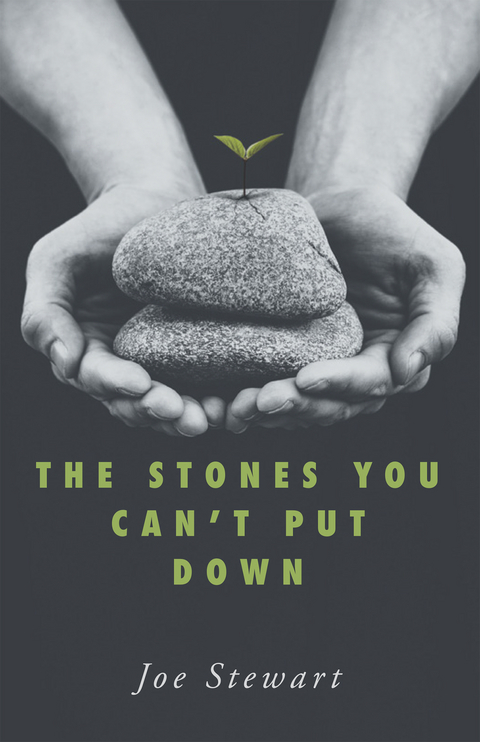 Stones You Can't Put Down -  Joe Stewart