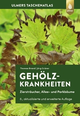 Gehölzkrankheiten - Thomas Brand, Jörg Grüner