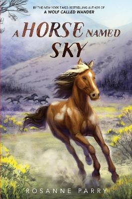 A Horse Named Sky - Rosanne Parry
