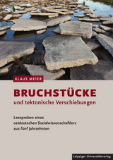 Bruchstücke und tektonische Verschiebungen - Klaus Meier